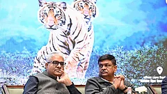 Centre and West Bengal Govt Exploring Tiger Reintroduction Opportunities: Bhupender Yadav - null