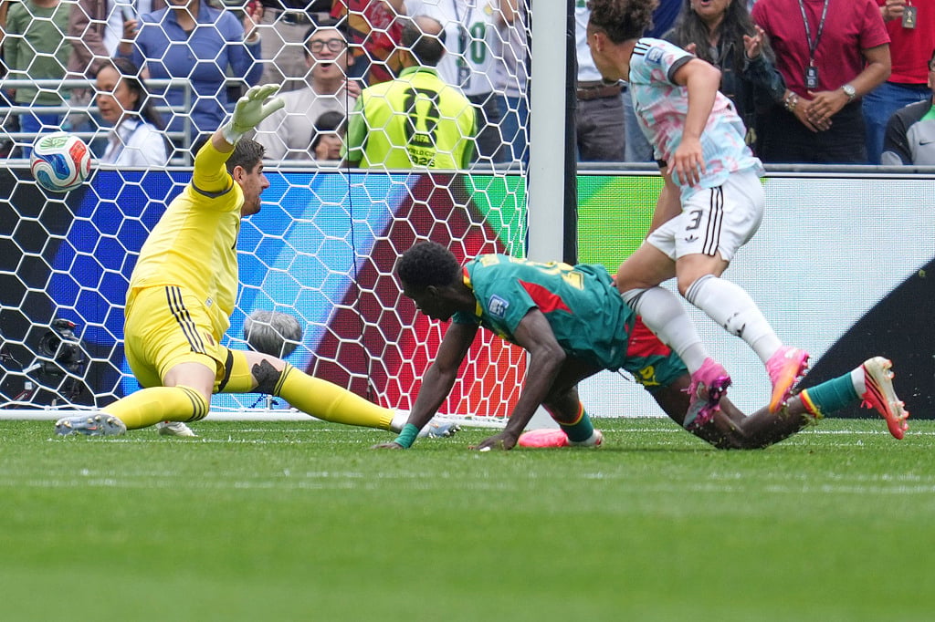 Belgium Vs Senegal, FIFA World Cup: See Best Photos