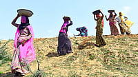 Outlook Explains | What VB-G RAM G Changes For Rural Workers Pacific Press Agency; Representational Image : Outlook Explains | What VB-G RAM G Changes For Rural Workers