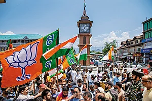 | Photo: Imago : Perform, Reform: Supporters of the BJP celebrate the sixth anniversary of the abrogation of Article 370 in Srinagar