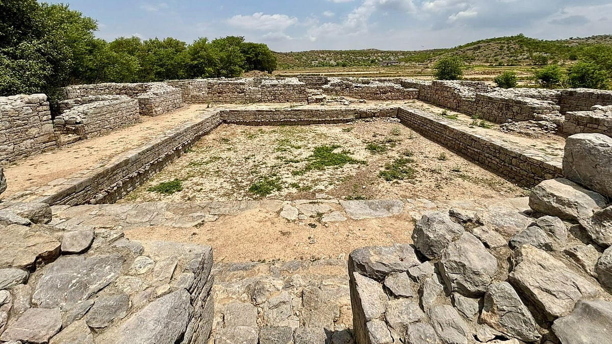 X/@AusHCPak