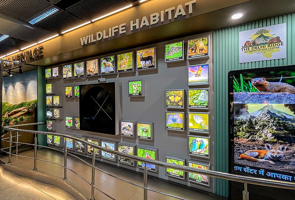 Delhi Ridge Interpretation Centre
