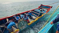 Odisha Cabinet Approves Over Rs 2,000-Cr Deep Sea Fishing Mission