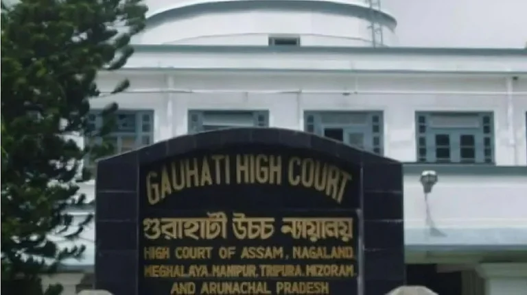 The High Court held that the documents did not help him "establish that he has been able to discharge his burden", as required under Section 9 of the Foreigners Act. - File Photo: Representative image
