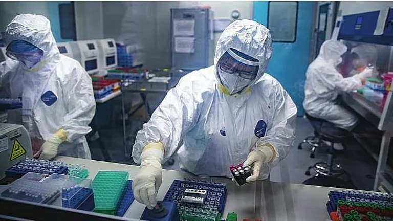 Maharashtra FDA Records Four-Fold Rise in Food Sample Testing Over Past Year: Officials - null