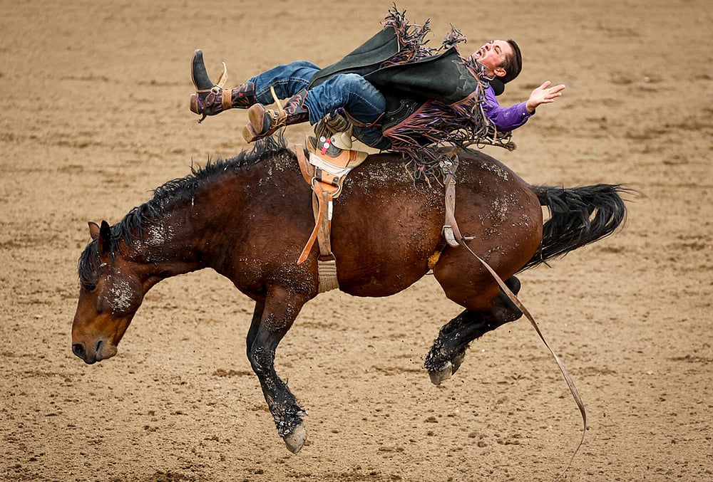 Calgary Stampede Rodeo