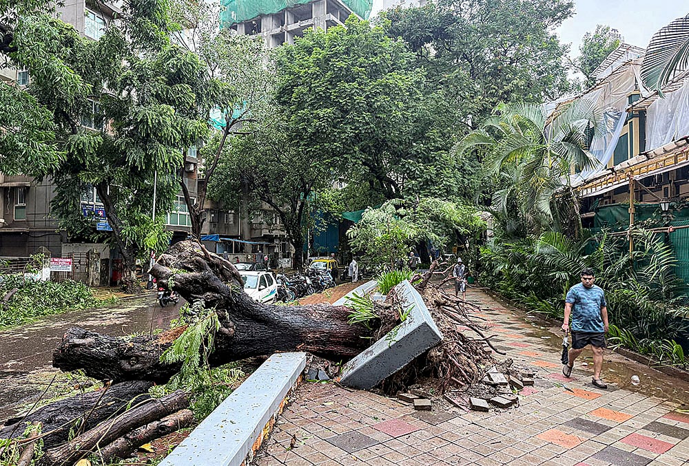 Weather: Strong winds, rainfall uproot tree in Mumbai