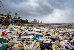 Waste washed ashore following a high tide at Dadar Beach, in Mumbai, Tuesday, July 7, 2026. - | Photo: PTI/Kunal Patil