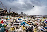 | Photo: PTI/Kunal Patil : Waste washed ashore following a high tide at Dadar Beach, in Mumbai, Tuesday, July 7, 2026. 