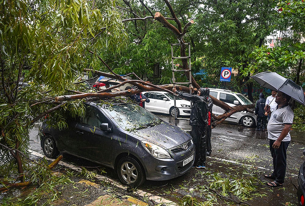 Damaged remains of a car after a tree falls on it following heavy rain and gusty winds, in Navi Mumbai, Monday, July 6, 2026.  - | Photo: PTI