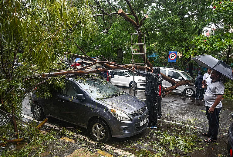 Damaged remains of a car after a tree falls on it following heavy rain and gusty winds, in Navi Mumbai, Monday, July 6, 2026. - | Photo: PTI
