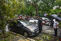 | Photo: PTI : Damaged remains of a car after a tree falls on it following heavy rain and gusty winds, in Navi Mumbai, Monday, July 6, 2026. 
