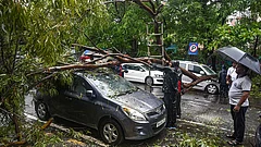 Damaged remains of a car after a tree falls on it following heavy rain and gusty winds, in Navi Mumbai - PTI