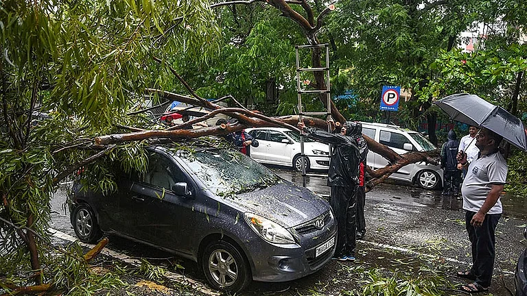 Damaged remains of a car after a tree falls on it following heavy rain and gusty winds, in Navi Mumbai - PTI