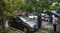 Mumbai Monsoon: IMD Issues Orange Alert, School and Colleges Closed, Transport Hit PTI : Damaged remains of a car after a tree falls on it following heavy rain and gusty winds, in Navi Mumbai