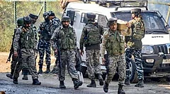Lashkar Terrorist Killed in Encounter in J-K's Shopian - null