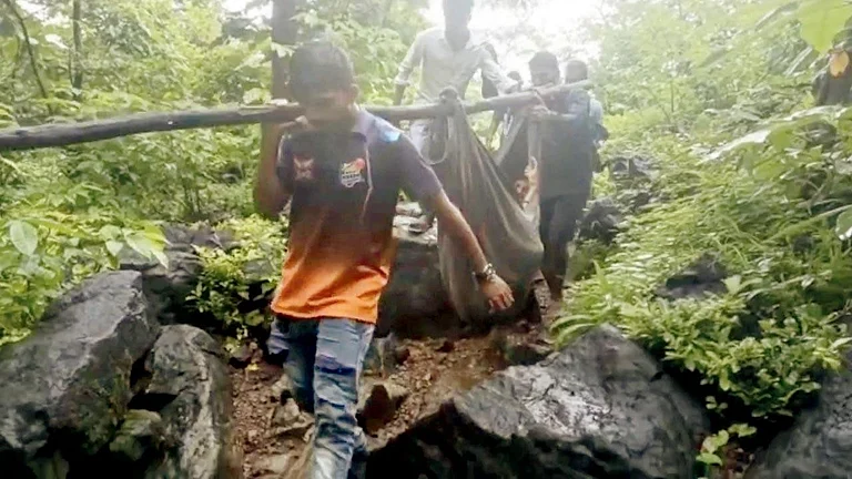 Locals Turn Door into Stretcher, Wade Through Floodwaters to Rush Pregnant Woman to Palghar Hospital - null
