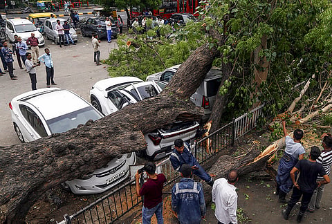 Damaged remains of vehicles after a tree fell on them due to heavy rain and gusty winds, in Ahmedabad, Wednesday, July 8, 2026. 