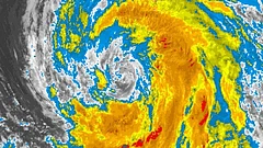 Typhoon Destroys China Snake Farm Freeing 900 Reptiles - null