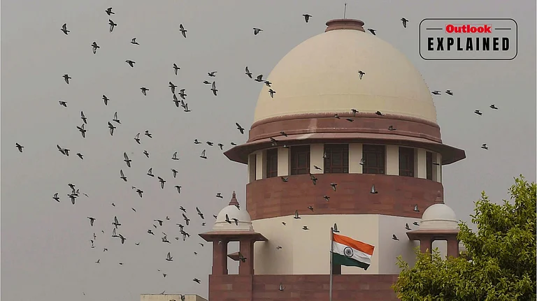 When the case reached the Supreme Court, it found that three of the cited judgments did not exist. - File Photo