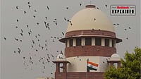 File Photo : When the case reached the Supreme Court, it found that three of the cited judgments did not exist. 