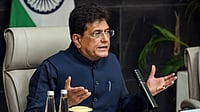PTI : Piyush Goyal Rejects Report Saying India Rejected a 'Quick Agreement' on US Trade Deal