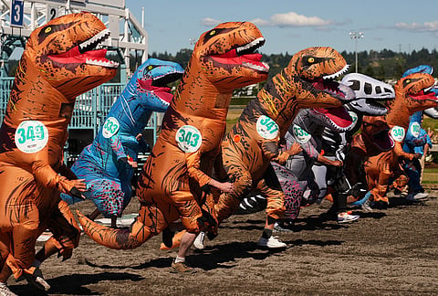 Racers in the men's over 55 heat run out of the starting gates during the T-Rex World Championship Races at Emerald Downs, Sunday, July 12, 2026, in Auburn, Washington. 