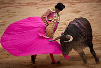 Day In Pics: July 13, 2026 | Photo: AP/Miguel Oses : Spanish bullfighter Samuel Navalón performs during a bullfight at the San Fermin festival in Pamplona, northern Spain.