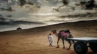 Monsoon Weakens Over Rajasthan; Dry Weather Ahead Monsoon Weakens Over Rajasthan; Dry Weather Ahead