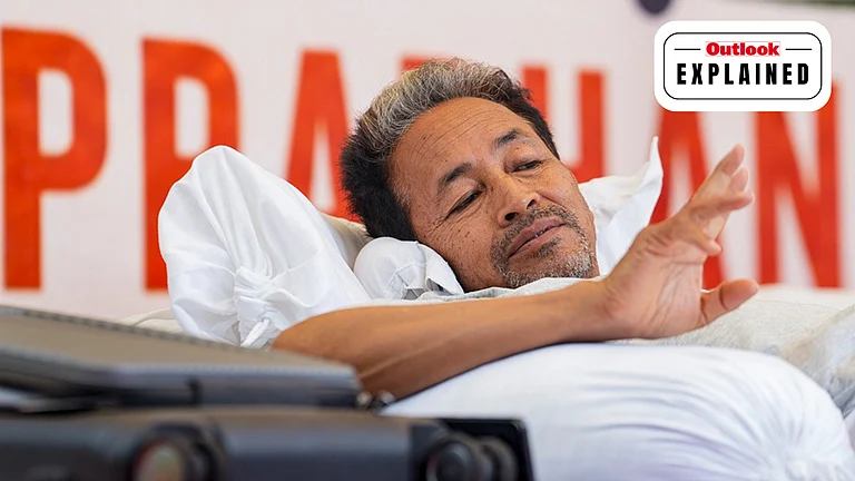 Activist Sonam Wangchuk - PTI