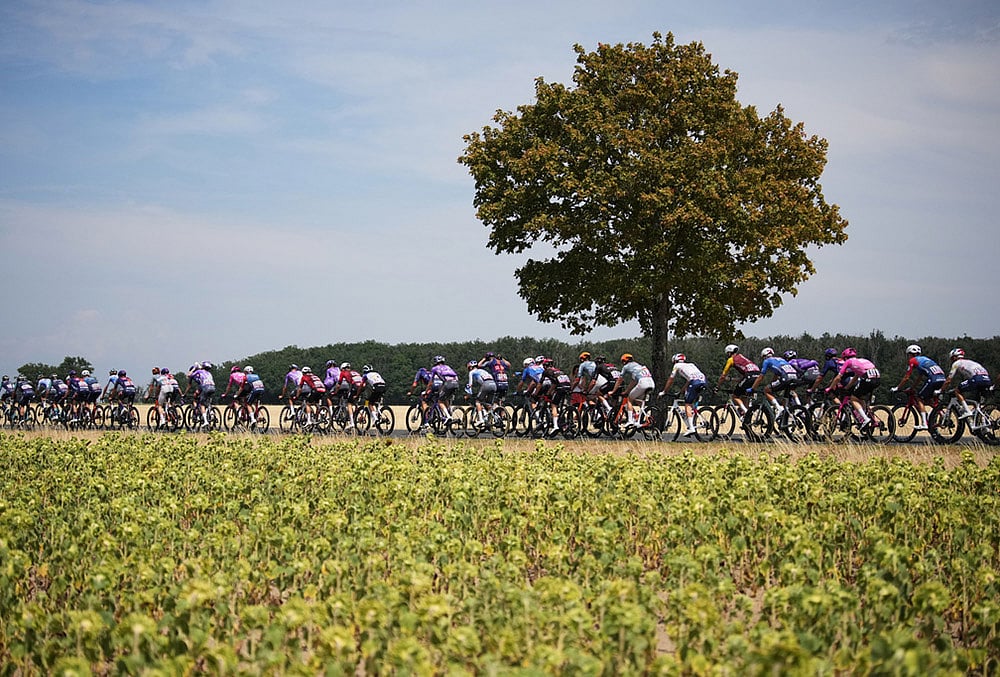 Tour de France cycling race eleventh stage highlights-