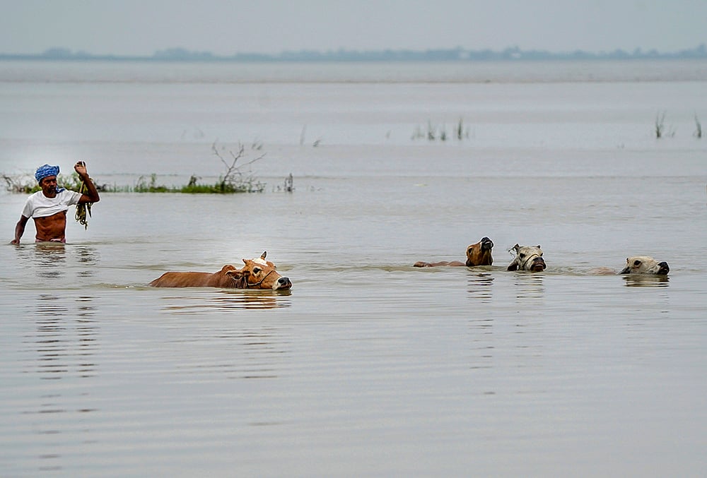 Weather: Flood in Morigaon
