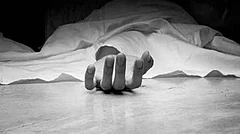 Thane Man Kills Wife, Walks into Police Station to Surrender - File Photo; Representative image