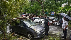 Damaged remains of a car after a tree falls on it following heavy rain and gusty winds, in Navi Mumbai, Monday, July 6, 2026. - | Photo: PTI