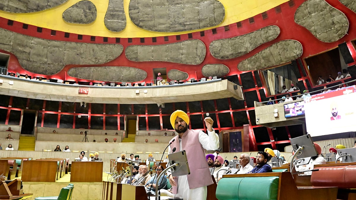 Punjab Chief Minister Bhagwant Singh Mann  - Hindustan Times