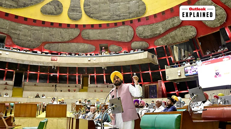 Punjab Chief Minister Bhagwant Singh Mann - Hindustan Times