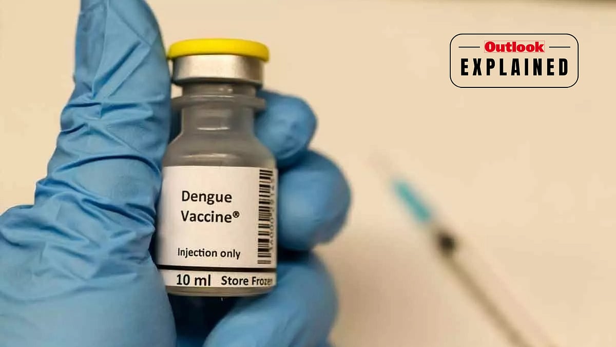 What Is Qdenga Dengue Vaccine? Effectiveness, Safety and Availability