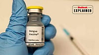 What Is Qdenga Dengue Vaccine? Effectiveness, Safety and Availability Representative Image