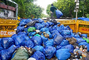 | Photo: PTI : A volunteer stacks garbage bags at one place, during an ongoing protest organised by Cockroach Janata Party (CJP) at the Jantar Mantar, in New Delhi. The agitation, which began on June 20, is demanding accountability over alleged irregularities in competitive examinations, reforms in the education system and the resignation of Union Education Minister Dharmendra Pradhan, and compensation for families of students who allegedly committed suicide due to the paper leak.