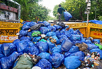 | Photo: PTI : A volunteer stacks garbage bags at one place, during an ongoing protest organised by Cockroach Janata Party (CJP) at the Jantar Mantar, in New Delhi. The agitation, which began on June 20, is demanding accountability over alleged irregularities in competitive examinations, reforms in the education system and the resignation of Union Education Minister Dharmendra Pradhan, and compensation for families of students who allegedly committed suicide due to the paper leak. 