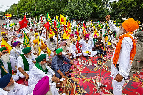Farmers affiliated with various organisations stage a sit-in protest against the India–US trade deal, in Patiala.