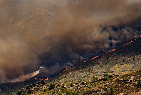 A wall of flames advances as a wildfire burns near Burgohondo, in Ávila province, Spain.