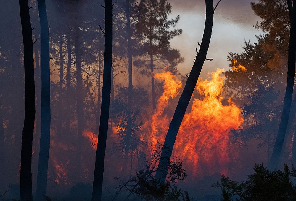 Western France wildfire Le Porge