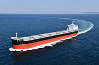 Linkedin : Vessel With 4 Indians Struck at Ukraine's Odesa Port; 2 Safe, Fate of 2 Awaited