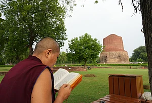 | Photo: AP/Rajesh Kumar Singh : A Buddhist devout reads in front of Dhamek Stupa in the ancient Buddhist site of Sarnath.
