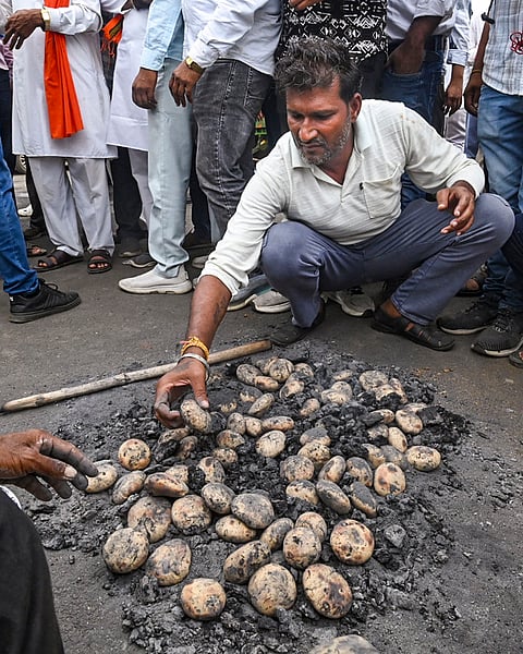 A man roasts potatoes in charcoal as farmers under the banner of Samyukt Kisan Morcha stage a protest to press for various demands, including 100 per cent moong procurement at MSP, in Bhopal, Madhya Pradesh, Wednesday, July 29, 2026. 