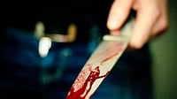 Congress Functionary Stabbed to Death in MP's Rewa; Search on for Attackers