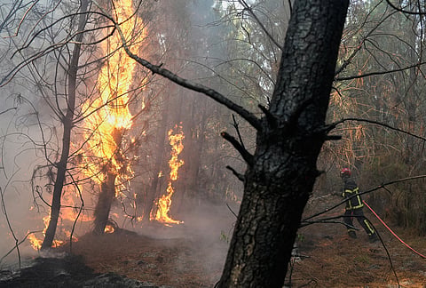 A firefighter works to extinguish a fire near Blagon, during wildfires in southwestern France, Wednesday, July 29, 2026. 