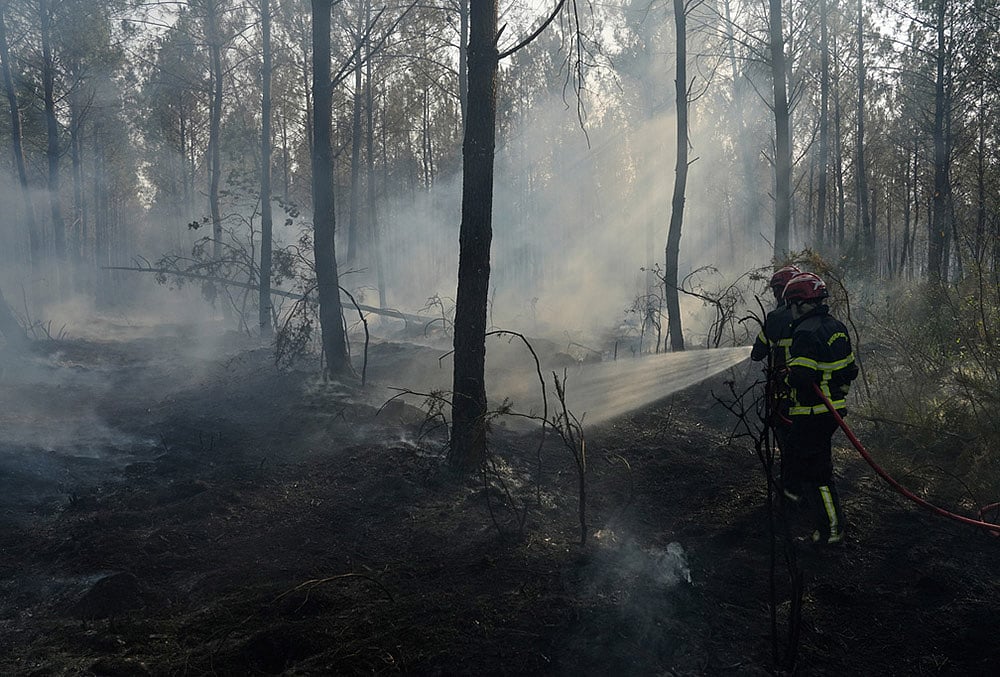 Gironde wildfire photos