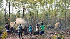 A still from ‘India: Epic Wild Stories’ - X
